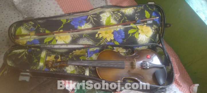 Violin